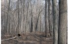 Tract 4 Swing Tract - REAL ESTATE AUCTION - 84.5+/- ACRES IN 4 TRACTS IN WHITLEY COUNTY, INDIANA